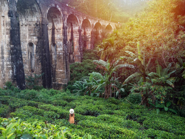 A woman wearing a hat poses in front of a bridge, showcasing a scenic view in the background.