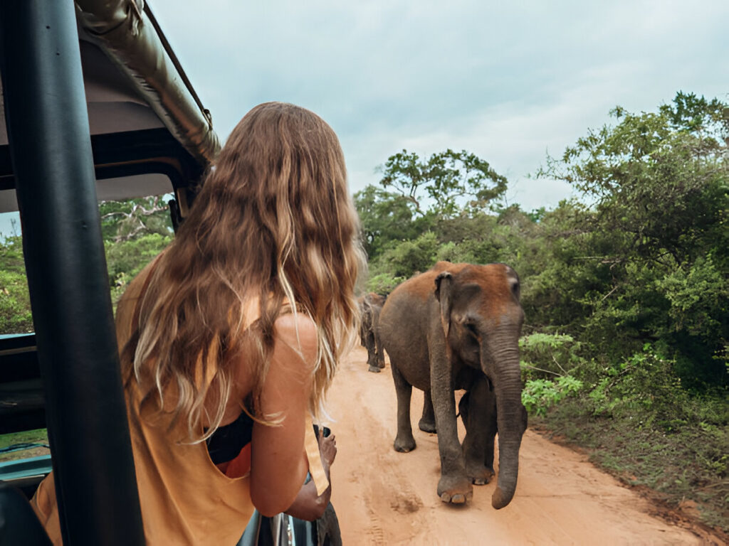  A woman gazes at an elephant during a safari in Sri Lanka, surrounded by lush greenery and wildlife.