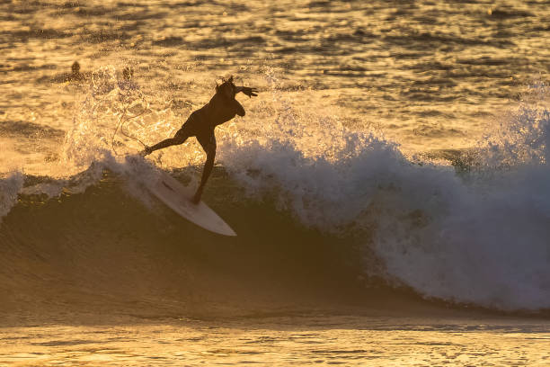 A surfer skillfully rides a wave as the sun sets, casting a warm glow over the ocean and creating a stunning silhouette.
