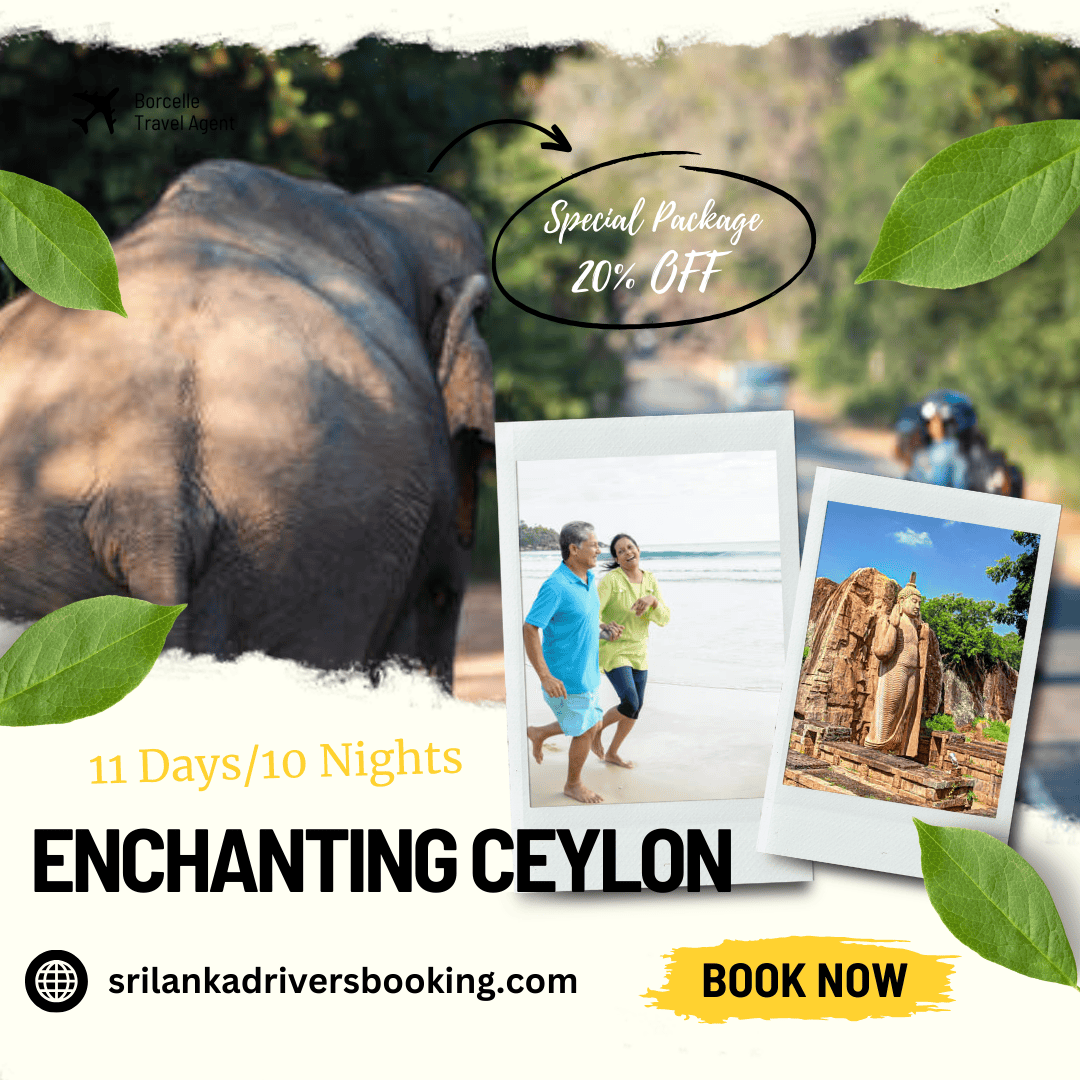 An enchanting Cylon in Sri Lanka, showcasing vibrant colors and intricate designs, captured 11 days into its journey.