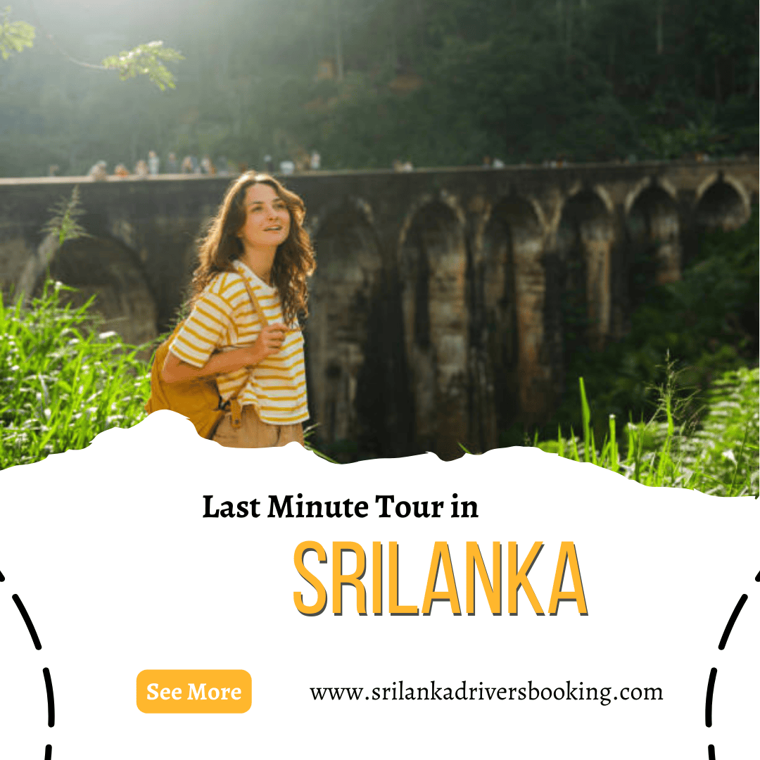 Last-minute tour in Sri Lanka showcasing stunning landscapes and vibrant culture, perfect for spontaneous travelers.
